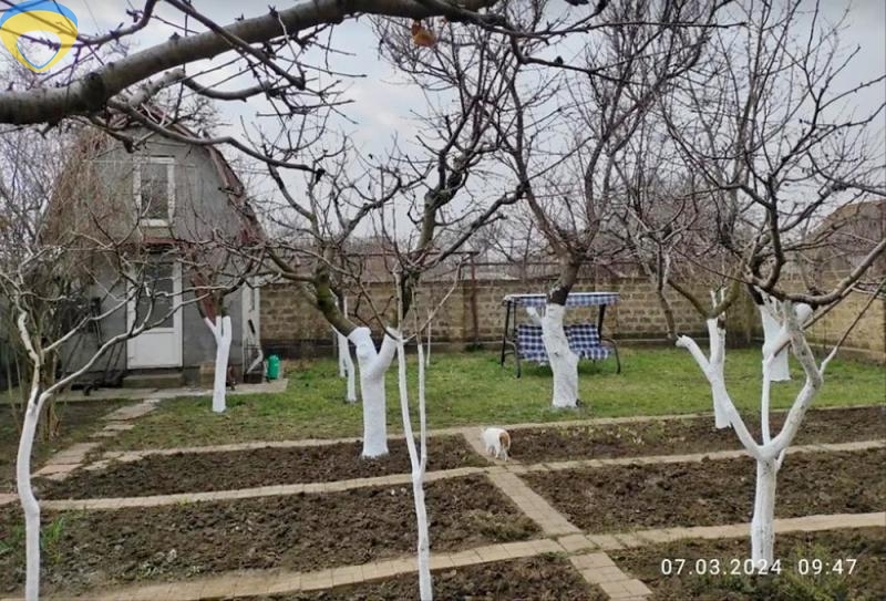 продажа дома номер H-173574 в Малиновском районе, фото номер 9